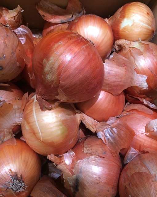 onion, seiyu, ribin, supermarket, fruits and vegetables, sales floor, heiseicho, yokosuka, japan, onion, onion, onion, onion, onion, japan