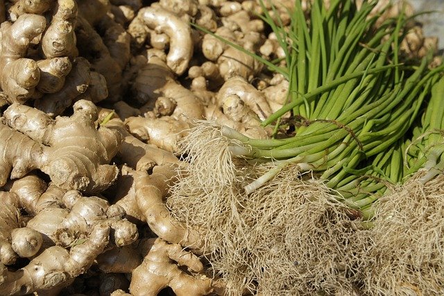 ginger, vegetables, healthy, vitamins, ginger root, root, kitchen, health, food, nourishment, natural remedies, meal, vegetarian, ginger, ginger, ginger root, ginger root, ginger root, ginger root, ginger root