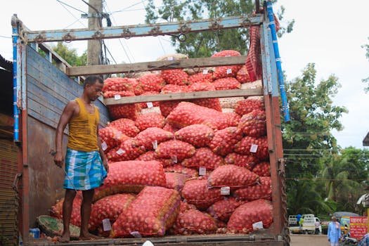 A worker unloading bags of apples from a truck. Outdoors scene showing transportation of fruit.